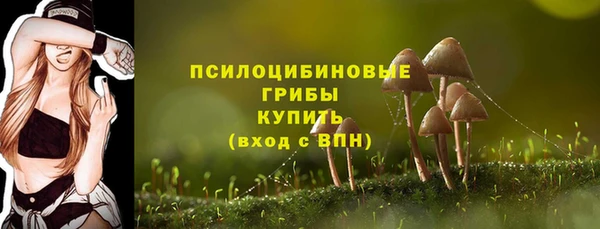 apvp Алексин