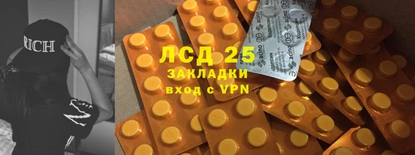 гашик Алексеевка