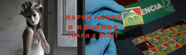 гашик Алексеевка