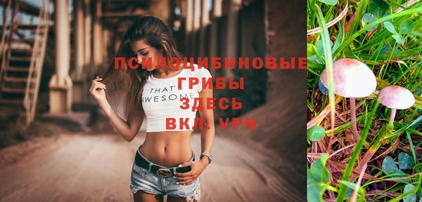 гашик Алексеевка