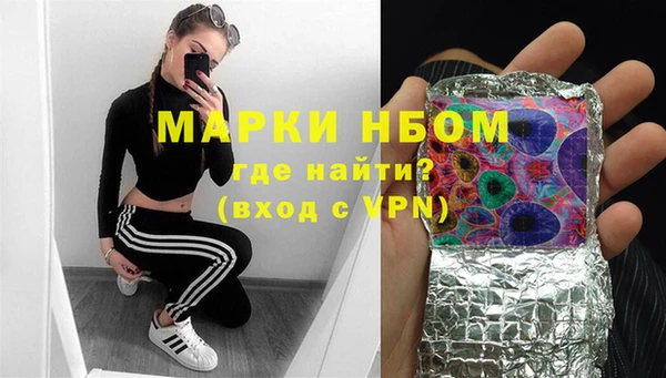 гашик Алексеевка