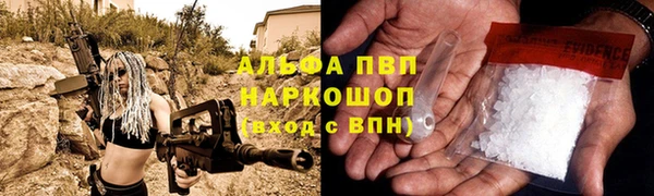 гашик Алексеевка