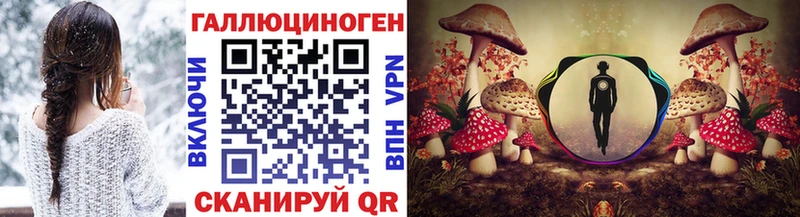 Псилоцибиновые грибы Psilocybine cubensis даркнет сайт Спасск